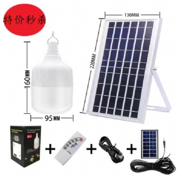 Solar Ball Lamp